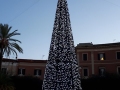 albero