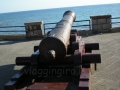 cannone