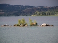 isoletta