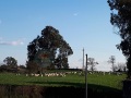 campagna-romana