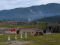 il palco