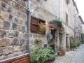 viale fiorito