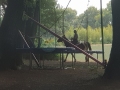 cavallo