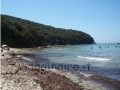 cala