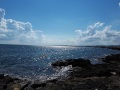 mare