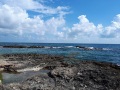 mare