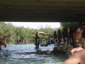 un coraggioso tuffo