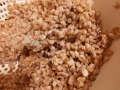 farro-cotto
