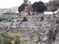 gravina