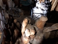 foto-3