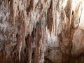 foto-6
