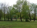 fronte
