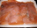 salmone