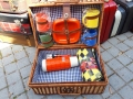 pic-nic