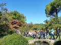 gruppo