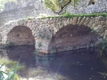 ponte