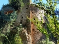 torre