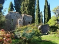 ruderi