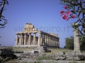 tempio di Hera