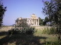 tempio di Cerere