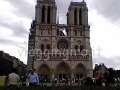 ND