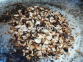 nocciole tritate