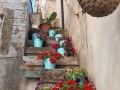 vicolo-in-fiore