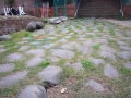 esterno