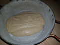 impasto-in-lievitazione