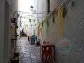 festa