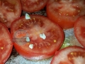 pomodori