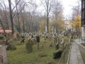 l'antico cimitero ebraico