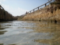 dal mare al lago