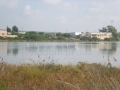 la salina