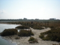 la spiaggia del lago salato