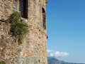 torre-tonda