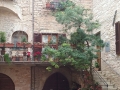 cortile fiorito
