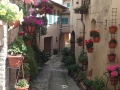 vicolo