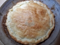 cotta