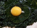 uovo