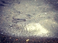 acqua del lago