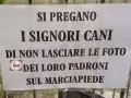foto cacche