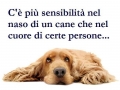 sensibilità