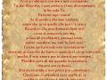 pergamena