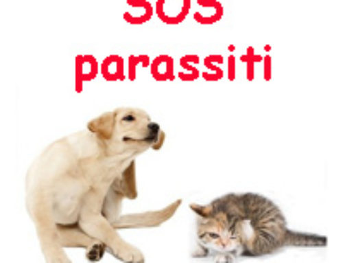 Parassiti e antiparassitari