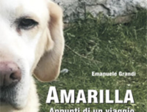 Amarilla e il suo viaggio