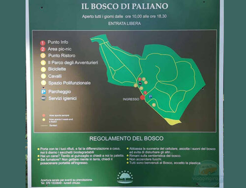 Il Bosco di Paliano, una passeggiata nella natura